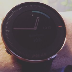 Polar Vantage M